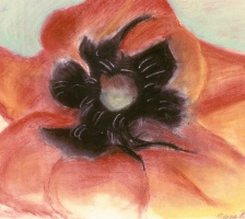 O'Keefe inspired flower