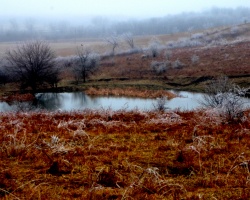 Frosty Land