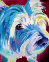 West Highland White Terrier - Buddy