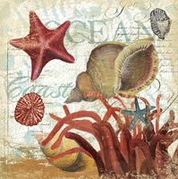 Shell Collector 1I- art licensing 