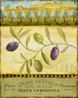 Olive Grove Puglia- art licensing