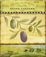 Olive Grove Tuscana- art licensing