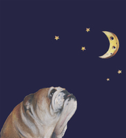Bulldog and the Moon