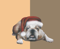 English bulldog Christmas design2