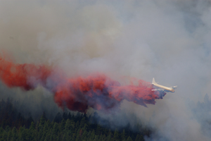 Forest Fire Fighting