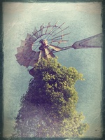 Windmill Grunge