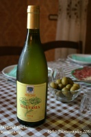 Wine Tasting Fattoria Michi