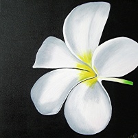 THE WHITE FLOWER