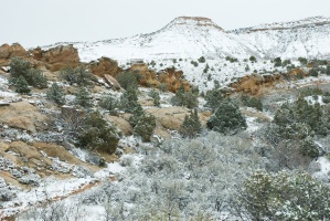 Snow in the Desert