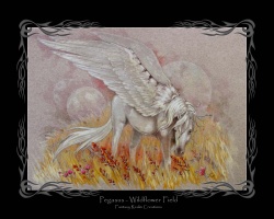 Pegasus - Wildflower Field
