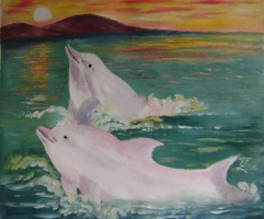 white dauphins