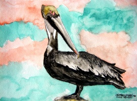 pelican bird 3