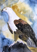 Eagle Bird painting