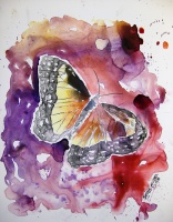 Monarch Butterfly yupo painting