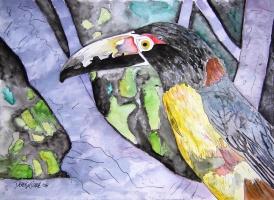toucan tropical bird painting