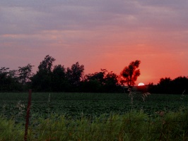 Iowa Sun