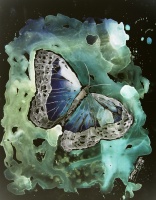 modern digital abstract butterfly