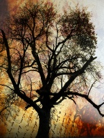 Tree in Digital Art Form