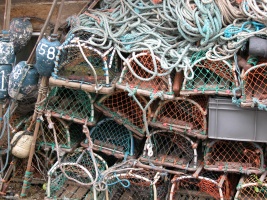 Lobster Nets and Boxes
