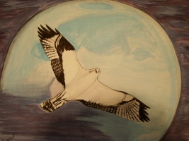 Moon Dove