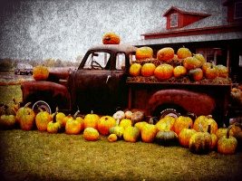 Vintage Truck and Pumpkins