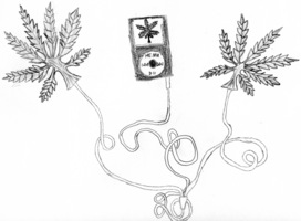 ear buds