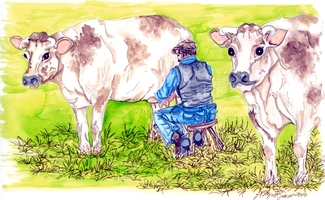 Cow milker