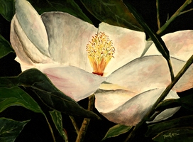 magnolia flower art print