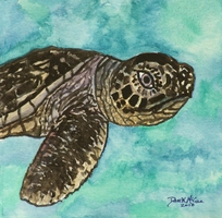 baby sea turtle art print