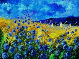 blue cornflowers 68