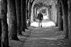 man walking in alley of trees