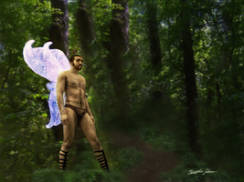 Fantasy Fairy in the Woods 2