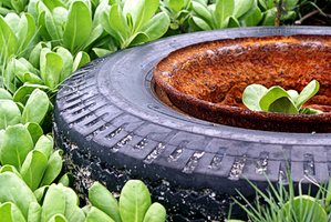 Tire VS Nature