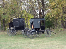 Amish Buggies