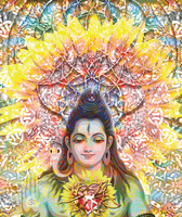 Sunflower Shiva