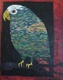 Title: Ovalmyte the parrot