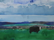Title: Lone Cow