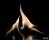 Title: Fire on Glass 46 FredPereiraStudios