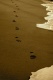Title: Footprints