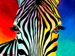 Title: Zebra - Rainbow