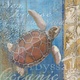 Title: Turtle and Sea- Art Licensing