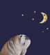 Title: Bulldog and the Moon