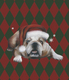 Title: Christmas Bulldog