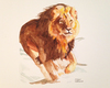 Title: Cecil the Lion