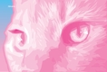 Title: Big Pink Cat