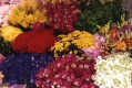 Title: Flower Bouquets