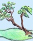 Title: Bonsai Tree