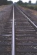 Title: Kansas Tracks