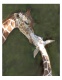 Title: Mom & baby giraffe
