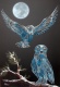 Title: Snowy Owls Under A Blue Moon